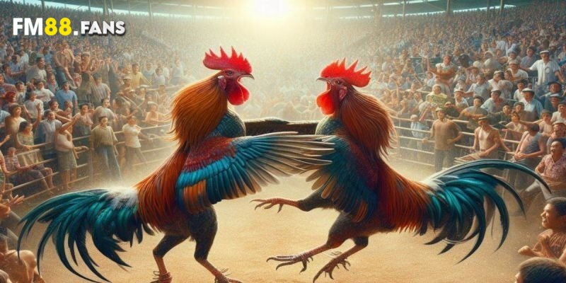 Tường thuật đá gà - Siêu chuyên nghiệp, cuốn hút từng giây 4 Tỷ lệ trả thưởng cao, không bị thay đổi nhiều