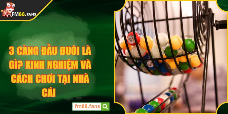 3 càng đầu đuôi là gì? Kinh nghiệm và cách chơi tại nhà cái