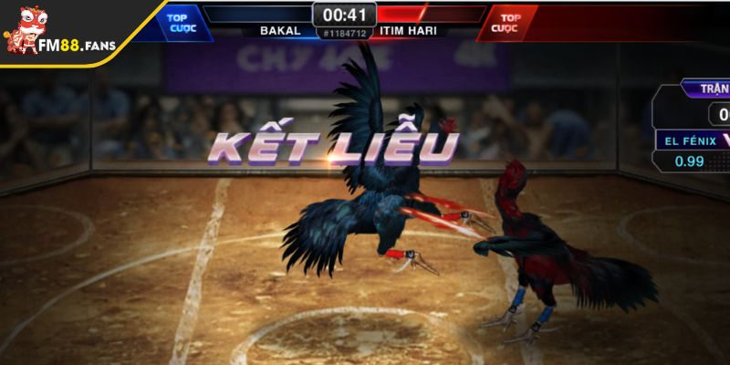 Kèo tổng số có tỷ lệ trả thưởng cao 