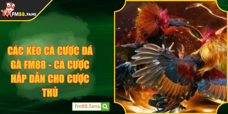 Các Kèo Cá Cược Đá Gà FM88 - Cá Cược Hấp Dẫn Cho Cược Thủ