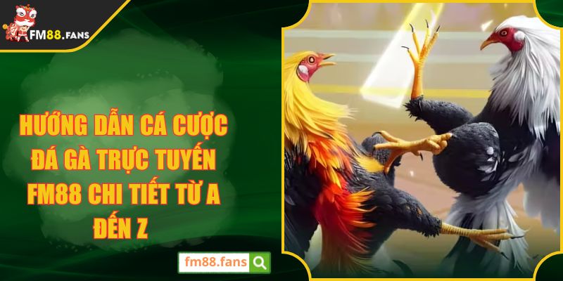 Hướng Dẫn Cá Cược Đá Gà Trực Tuyến FM88 Chi Tiết Từ A Đến Z
