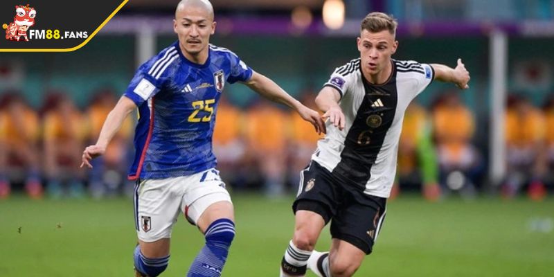 Nghiên cứu đội bóng