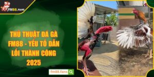 Thủ Thuật Đá Gà FM88 - Yếu Tố Dẫn Lối Thành Công 2025
