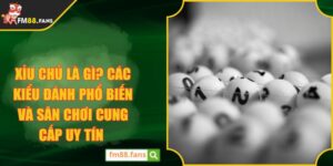 Xỉu chủ là gì? Các kiểu đánh phổ biến và sân chơi cung cấp uy tín