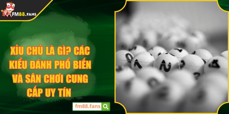 Xỉu chủ là gì? Các kiểu đánh phổ biến và sân chơi cung cấp uy tín